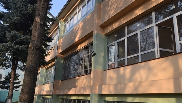 Image 6