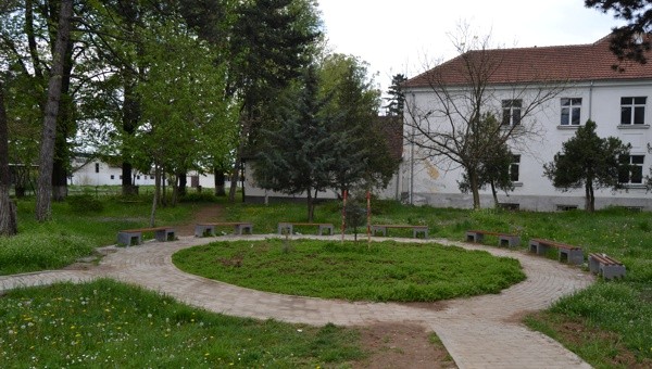 Image 6