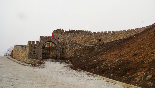 Image 1