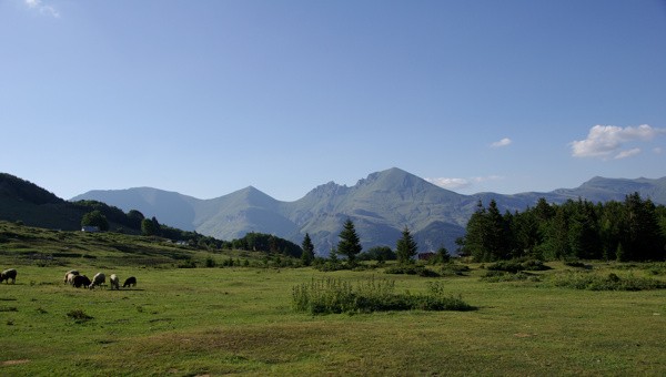 Image 12