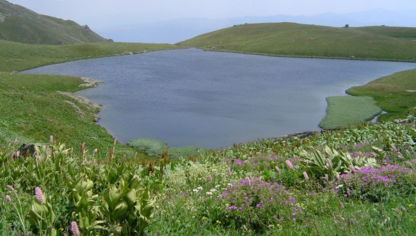 Image 9