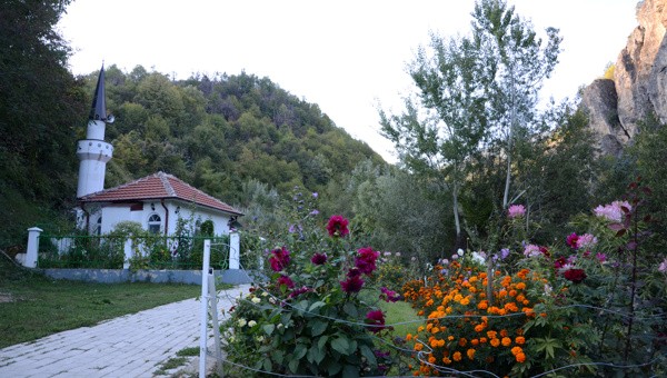 Image 6