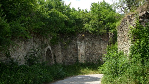 Image 6